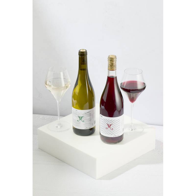 Château de Malleret - Boutique en ligne - Blanc de Noir de Malleret