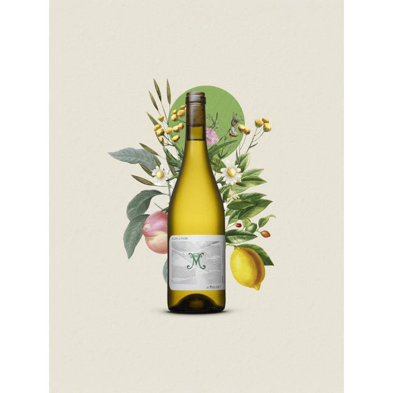 Château de Malleret - Boutique en ligne - Blanc de Noir de Malleret