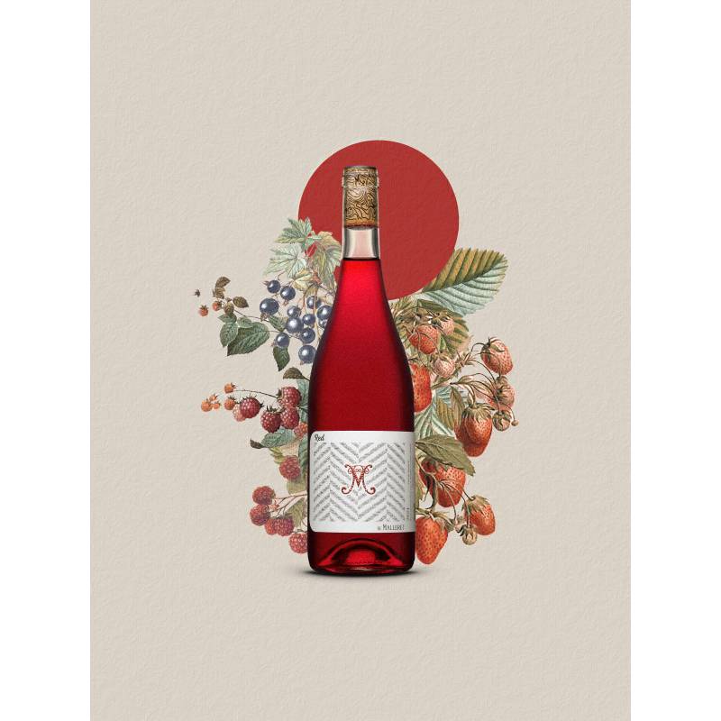 Château de Malleret - Boutique en ligne - Red de Malleret