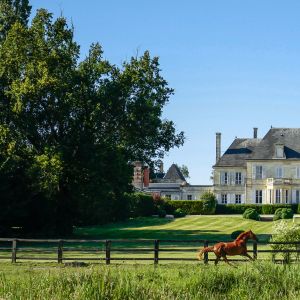 Château de Malleret 