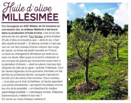 Article de presse Vivre Bordeaux - 2021-12-21 - Huile d'olive MILLÉSIMÉE