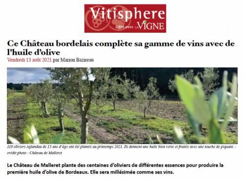 Article de presse Vitisphère - 13 août 2021 - Ce Château bordelais complète sa gamme de vins avec de l’huile d’olive