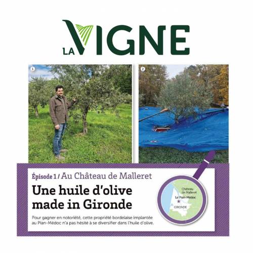 Château de Malleret - The Press speaks about it: Une huile d'olive made in Gironde