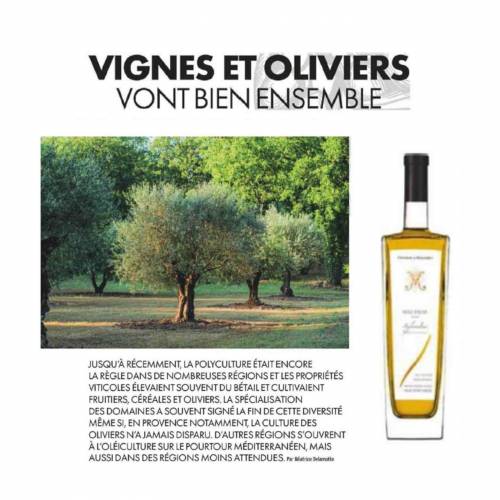 Château de Malleret - The Press speaks about it: Vignes et Oliviers vont bien ensemble